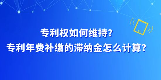 專利權(quán)如何維持？專利年費(fèi)補(bǔ)繳的滯納金怎么計(jì)算？